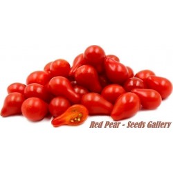 Semillas De Tomate Cherry Rojo Pera