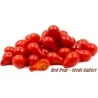 Kruska Paradajz Seme Red Pear