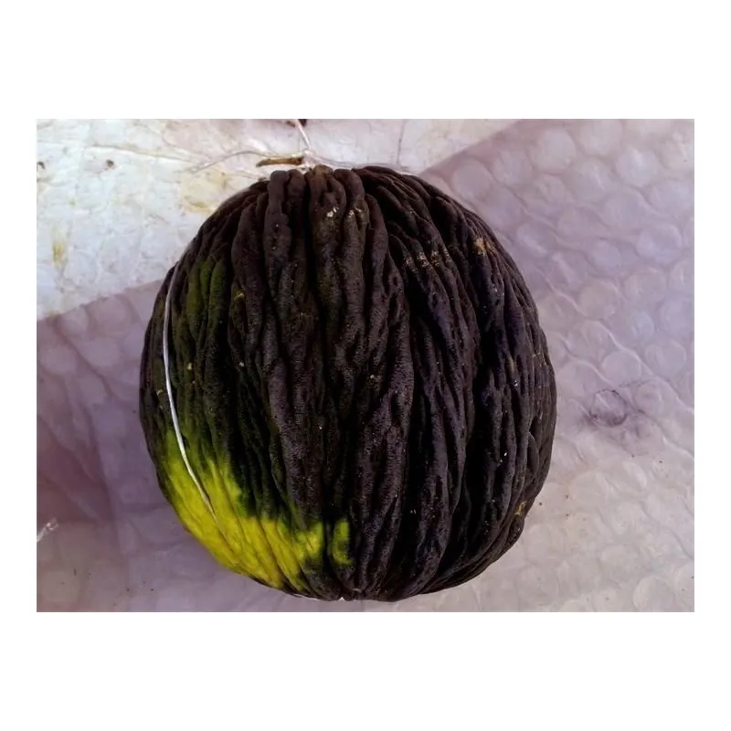 Schwarze Zuckermelone Samen
