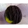 Schwarze Zuckermelone Samen