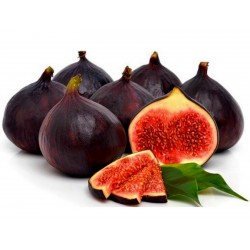 Price: €2.15 - Griechische Feigensamen Royal Black - Seeds Gallery