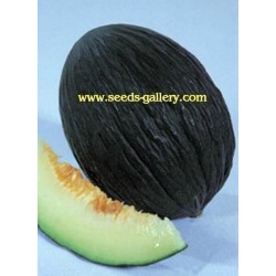 Black Melon Seeds