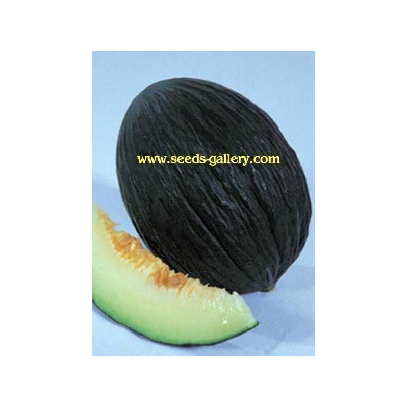Price: €2.45 - Schwarze Zuckermelone Samen - Seeds Gallery