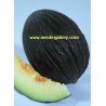 Price: €2.45 - Semi di melone nero - Seeds Gallery