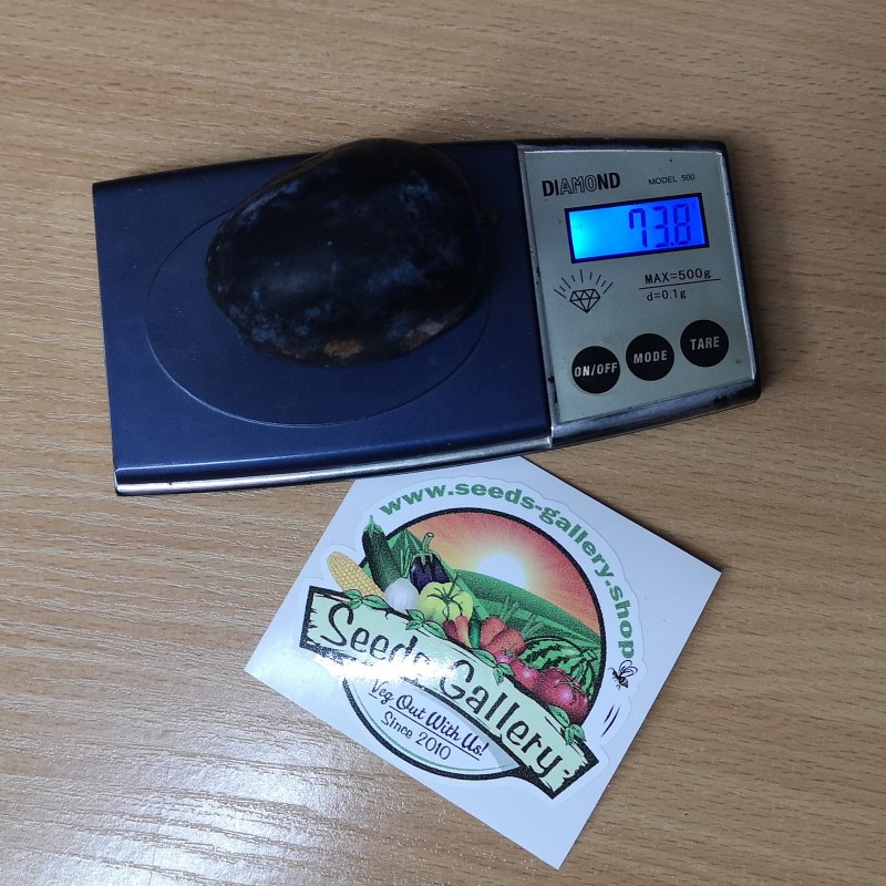 Price: €2.55 - Giant Bosnian Plum Seeds (Prunus domestica) - Seeds Gallery