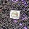 Price: €1.25 - Bobice aronije cele osušene 50g (Aronia melanocarpa) - Seeds Gallery