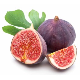 Semillas de higo silvestre (de Herzegovina) - 2