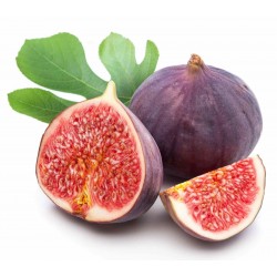 Wild Fig Seeds (from...