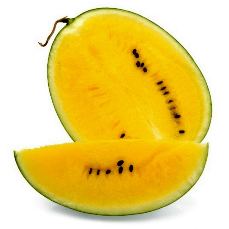 Price: €2.15 - Semillas de sandia amarilla JANOSIK - Seeds Gallery