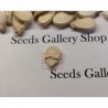Price: €2.25 - Orangene Wassermelone BIO Samen Tendersweet - Seeds Gallery