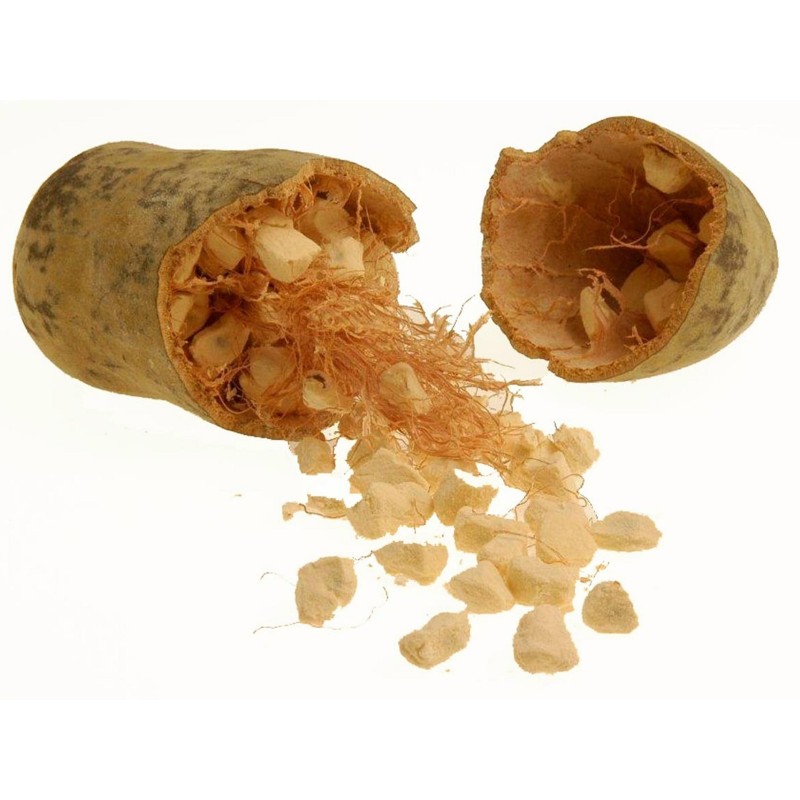 Price: €1.95 - Αδανσονία η δακτυλωτή σπόροι (Adonsonia digitata) - 