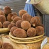 Price: €1.95 - Αδανσονία η δακτυλωτή σπόροι (Adonsonia digitata) - 