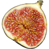 Price: €1.95 - Σπόροι Συκή η καρική και Συκή η κοινή (Ficus carica) - Seeds Gallery