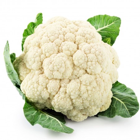 Price: €1.85 - Σπόροι Κουνουπιδι Early Snowball -