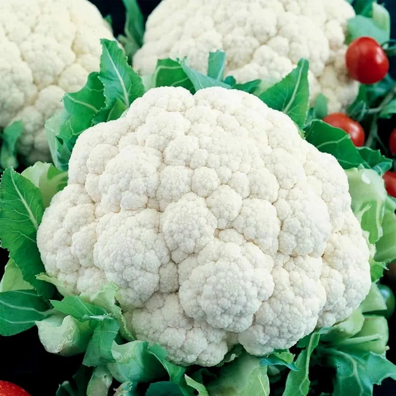 Graines de Chou Fleur Boule De Neige
