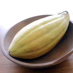 Price: €2.15 - Banana dinja seme - Seeds Gallery