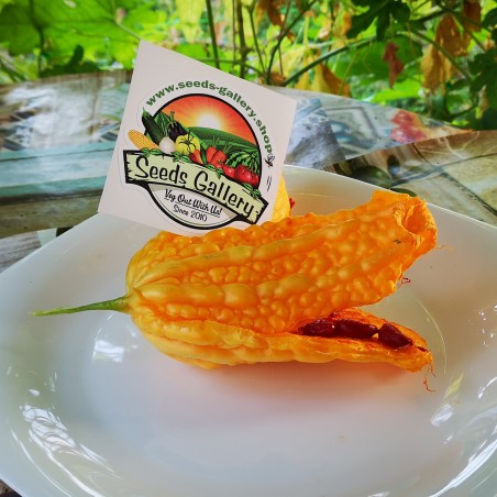 Price: €1.75 - Graines La Margose (Momordica Charantia) - Seeds Gallery