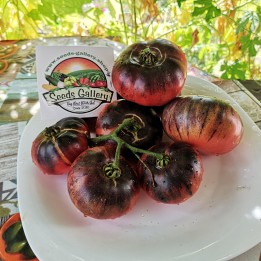 Nasiona pomidora typu beefsteak Niebieskie Piękno - 2.5