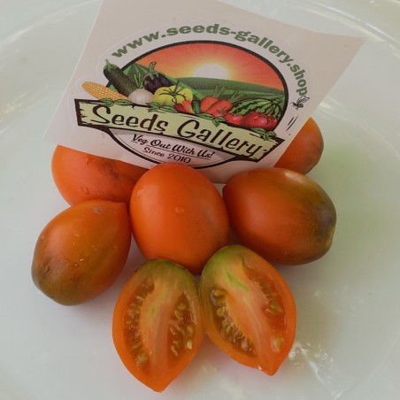 Price: €1.75 - Semillas de tomate Summer Temptation - Seeds Gallery
