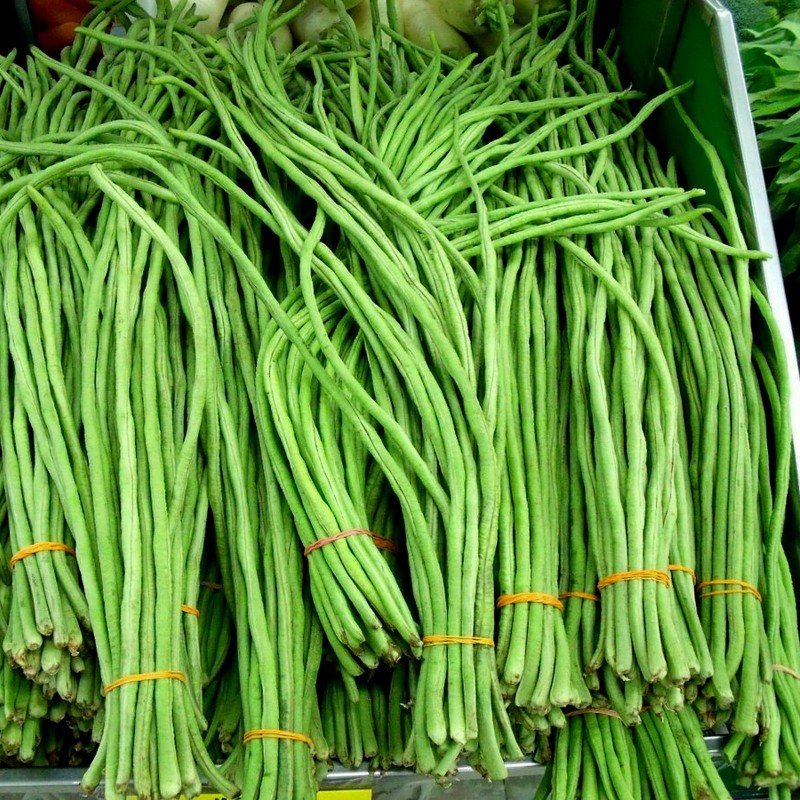 Price: €2.25 - Sementes Feijão Metro De Comprimento - Seeds Gallery