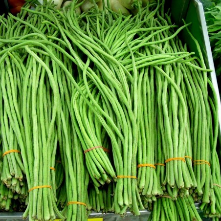 Price: €2.25 - Sementes Feijão Metro De Comprimento - Seeds Gallery
