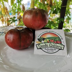 Price: €1.95 - Semillas de tomate Lila Sari - Seeds Gallery