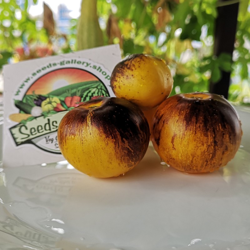 Price: €1.95 - Blue Gold Tomato Seeds - Seeds Gallery