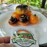 Price: €1.95 - Blue Gold Tomato Seeds - Seeds Gallery