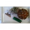 Price: €3 - Graines Ananas Miniature - Ananas nanus - 