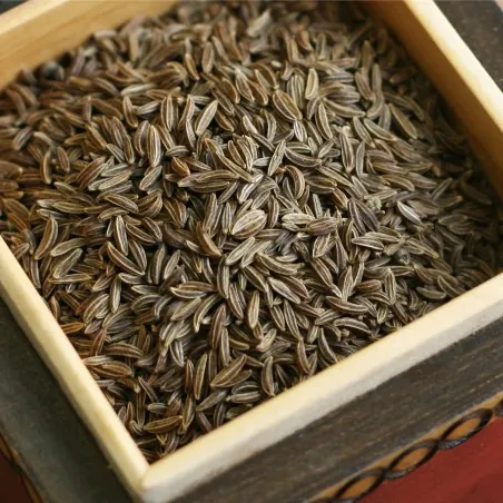 Tempero de alcaravia e remédio - fruta inteira