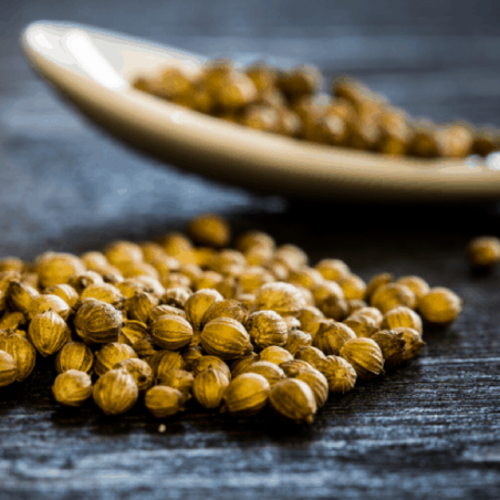 Koriandergewürz - ganze Frucht