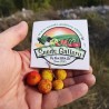 Price: €1.65 - Semena Planika obecná (Arbutus unedo) - 