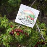 Juniper krydda - hela bär - Högsta kvalitet