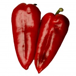 Rotes Horn Paprika Samen...