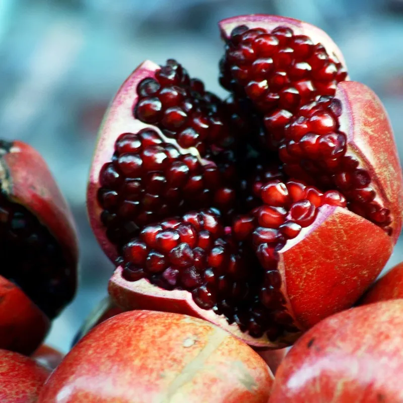 Σπόροι Ροδιά (Punica granatum)