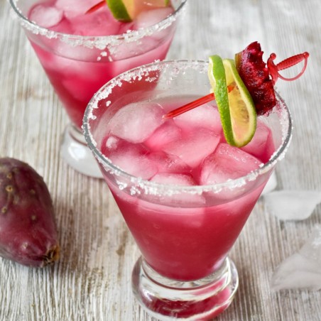 Price: €1.65 - Semillas de Bartolona, Nopal camueso (Opuntia robusta) -