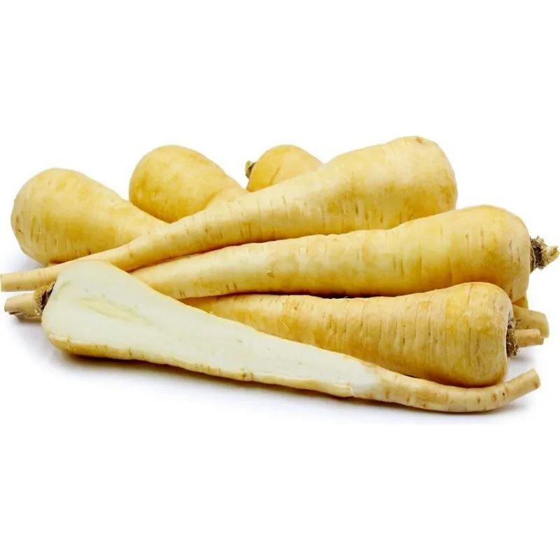 10.000 Graines BIO Panais Longues blanc lisse