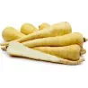10.000 Graines BIO Panais Longues blanc lisse