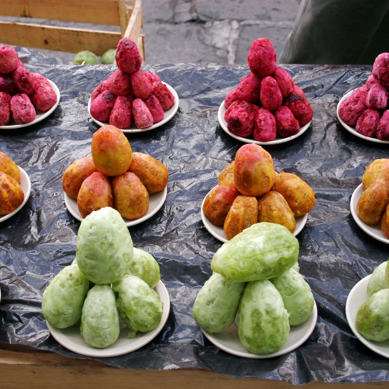 Sementes de Figo do Diabo (Opuntia Ficus-Indica)