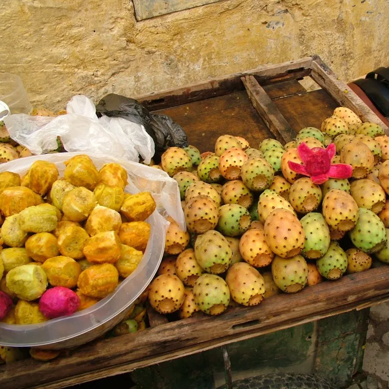 Semi di fico d'India (Opuntia Ficus-Indica)