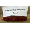 Bloody Butcher Sweetcorn Seeds