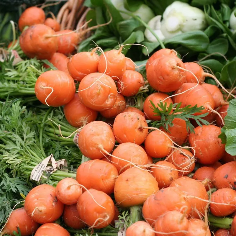 Semi di Carota Pariser Markt