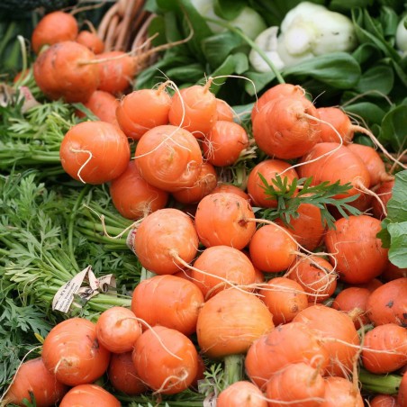 Price: €1.95 - Semi di Carota Pariser Markt -