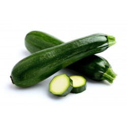 Price: €2.1 - Semi di Zucchino “All Green Bush” - Seeds Gallery