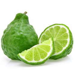 Price: €3.5 - Semințe de portocale de bergamotă (Citrus bergamia) - 