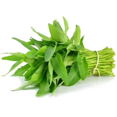 Water spinach seeds (Ipomoea aquatica)