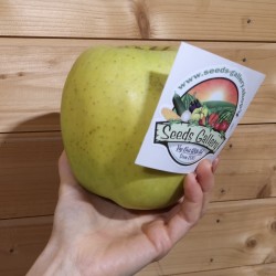Price: €4.5 - Jätte äppelfrön Mutsu - Seeds Gallery