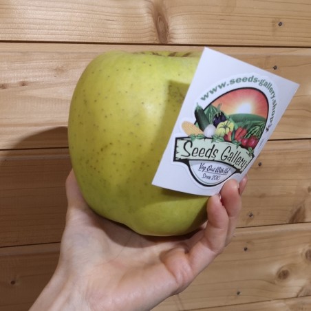Price: €4.5 - بذور التفاح العملاقة موتسو - Seeds Gallery