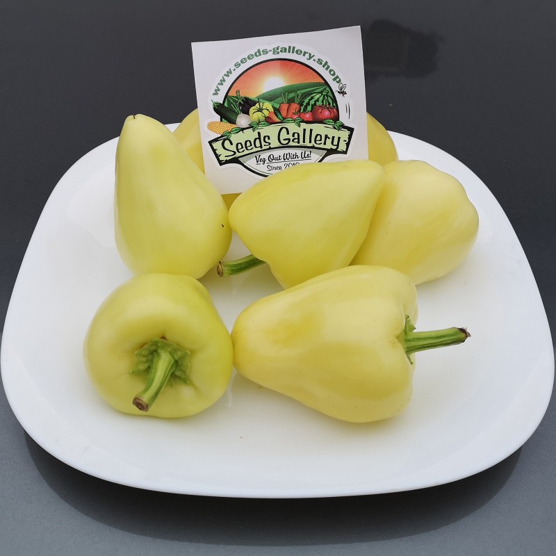 Price: €1.85 - Semi di Peperoncino Piccante Somborka - Seeds Gallery