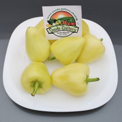 Price: €1.85 - Graines de Piment fort Somborka - Seeds Gallery